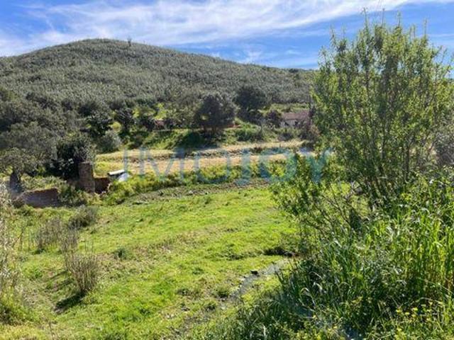 Terrenos Portimão Faro 8500 DS96326441