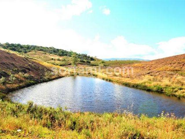 Terrenos Portimao Faro DS99129030