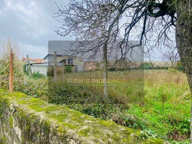 Terrenos Porto Vila Nova de Gaia 4415 DS99005689