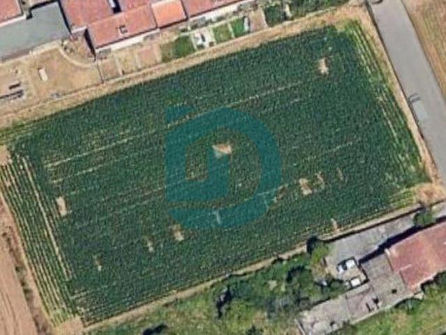 Terrenos Porto Vila do Conde 4485 DLS99223963