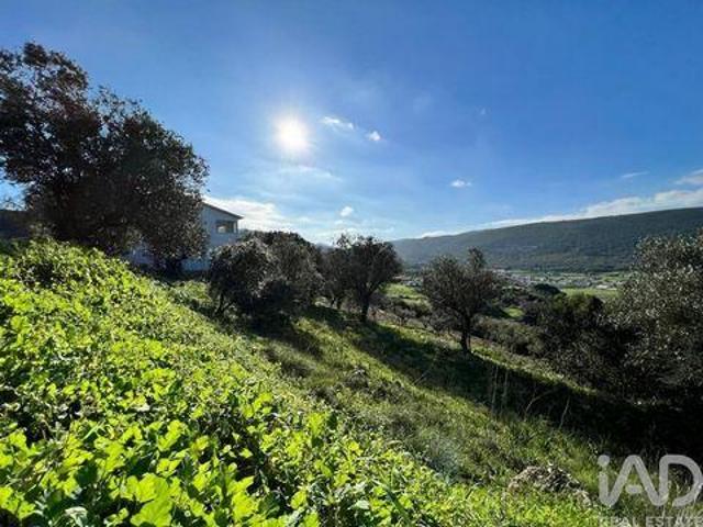 Terrenos Porto De Mos Leiria DLS101231506