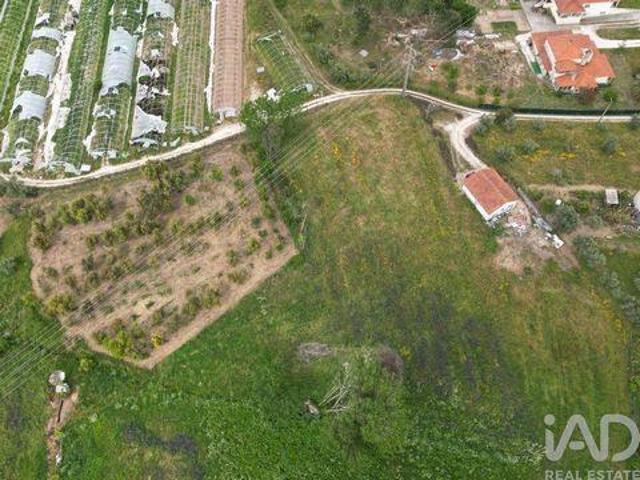 Terrenos Porto De Mos Leiria DLS101743059