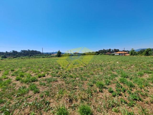 Terrenos Porto Felgueiras 4610 DLS97628775