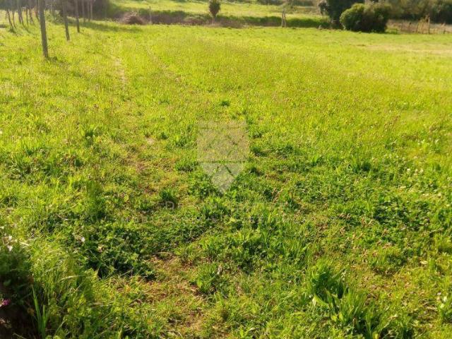 Terrenos Porto Penafiel 4560 DS98786595