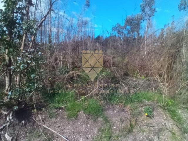 Terrenos Porto Penafiel 4560 DS98786608