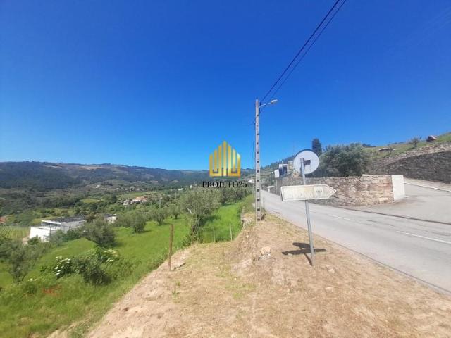 Terrenos Porto Porto DLS95346779