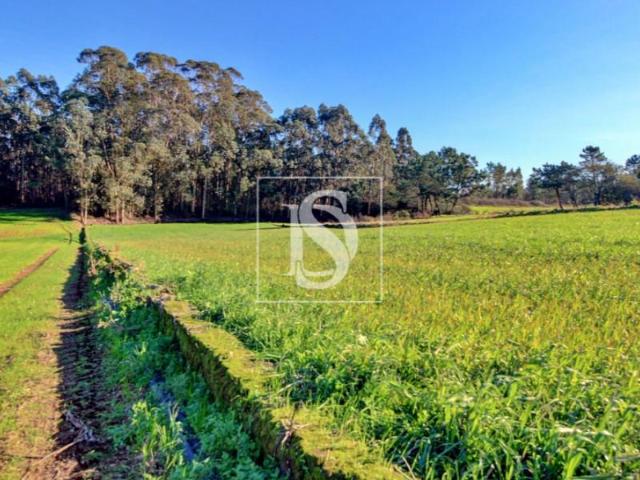 Terrenos Póvoa de Varzim Póvoa de Varzim DLS102822281