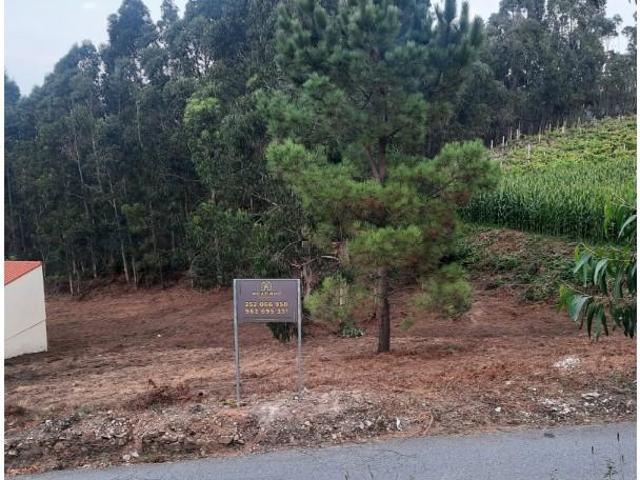 Terrenos Póvoa de Varzim Póvoa de Varzim DS102545054