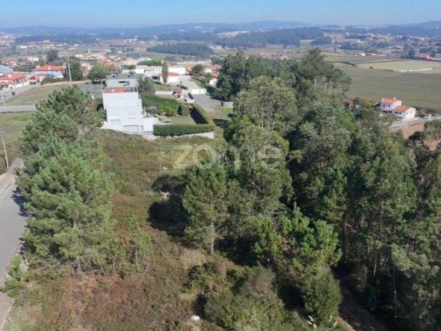 Terrenos Póvoa de Varzim Póvoa de Varzim DS94599774
