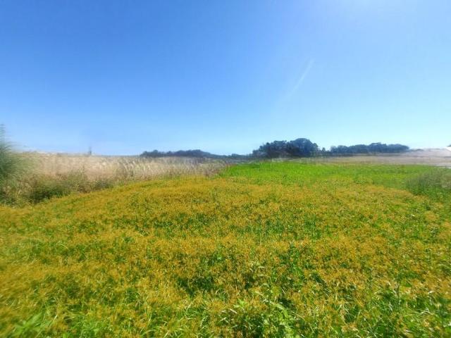 Terrenos Póvoa de Varzim Póvoa de Varzim DS97120495