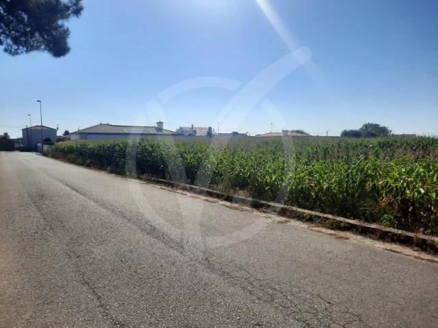 Terrenos Póvoa de Varzim Póvoa de Varzim DS99531980