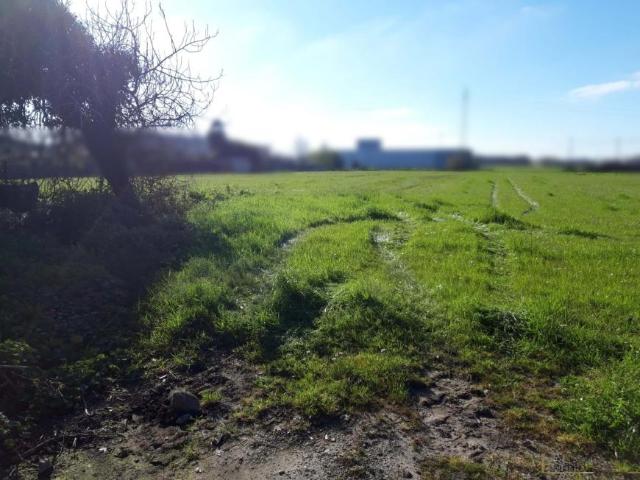Terrenos Póvoa de Varzim Porto DLS94289498