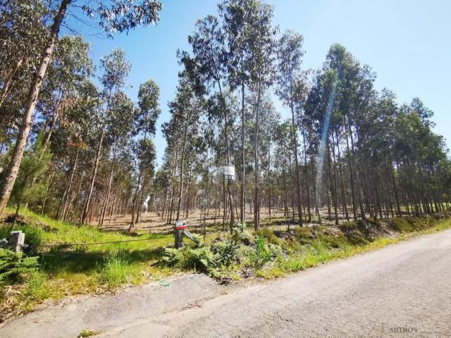 Terrenos Póvoa de Varzim Porto DLS94289499