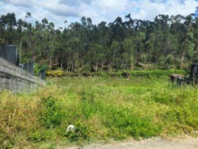 Terrenos Povoa De Varzim Porto DS102311749