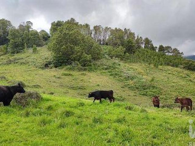 Terrenos Povoacao Ilha De Sao Miguel DLS96472070