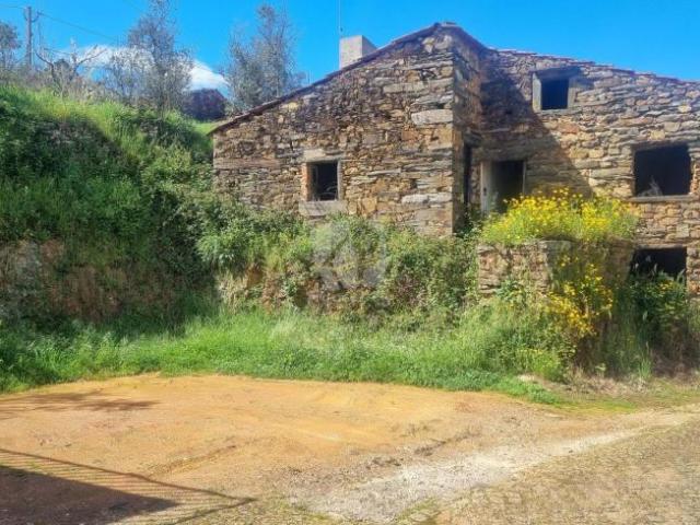 Terrenos Proença Castelo Branco DS99708619
