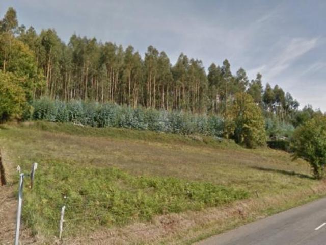Terrenos Pravia Asturias 78110618