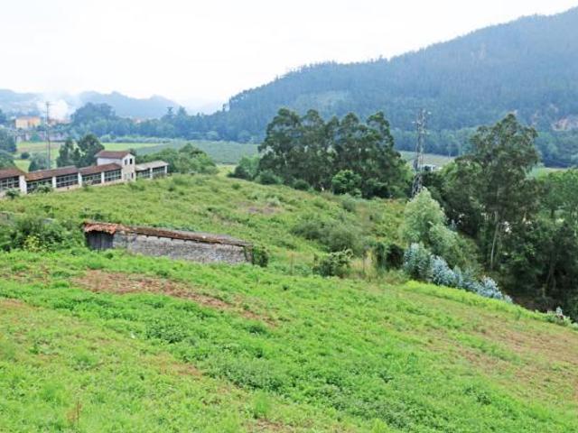 Terrenos Pravia Asturias 78110635