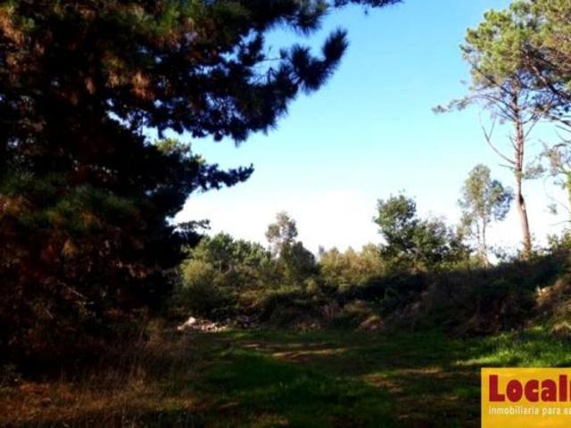 Terrenos Pravia Asturias 87414587