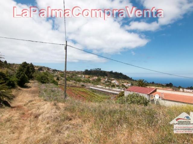 Terrenos Puntagorda Santa Cruz De Tenerife LS96291553