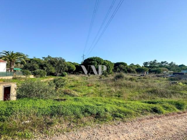Terrenos Quarteira Algarve DLS85310629