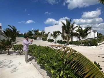 Terrenos residenciales en venta en chelem puerto
