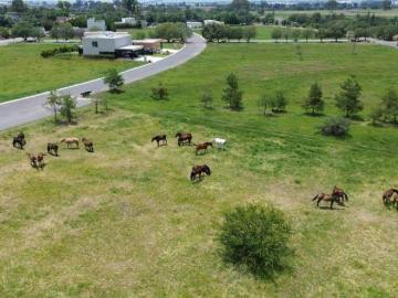 TERRENOS RESIDENCIALES EN VENTA EN EL EXCLUSIVO FRACC. VIÑEDOS EL POLO, EL MARQUES QUERETARO