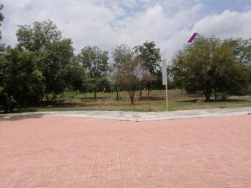Terrenos Residenciales en Venta Fraccionamiento Privado, Allende N.L Eduardo A Elizondo