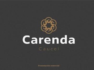 Terrenos residenciales semi urbanizados en Venta en Carenda Caucel