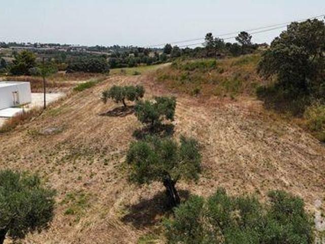 Terrenos Rio Maior Santarem DLS92228801