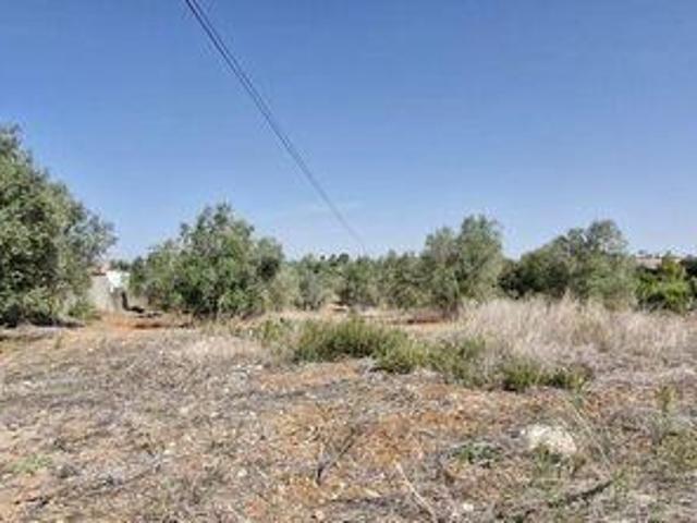 Terrenos Rio Maior Santarem DLS95717270