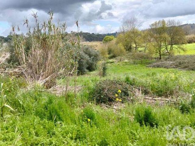 Terrenos Rio Maior Santarem DLS99889490