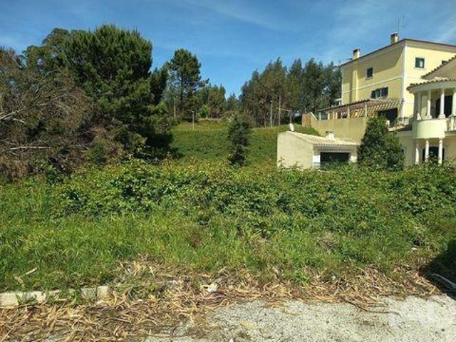 Terrenos Rio Maior Santarem DS101997144