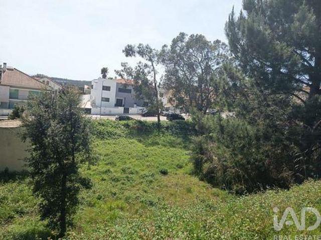 Terrenos Rio Maior Santarem DS102253034