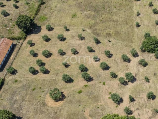 Terrenos Rio Maior Rio Maior DS89447540