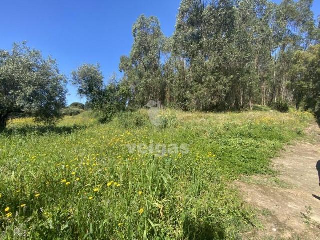Terrenos Rio Maior Rio Maior DS90702936
