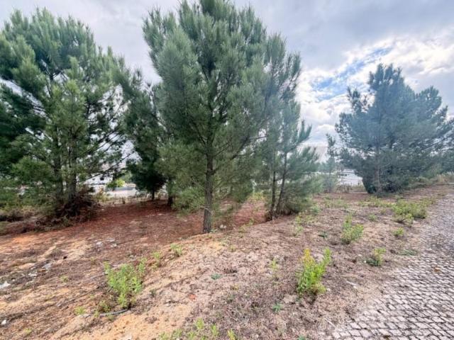 Terrenos Rio Maior Rio Maior DS96084986