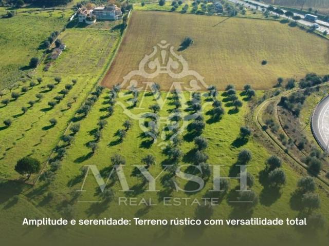 Terrenos Rio Maior Rio Maior 2040 535 DS97119018