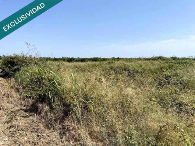 Terrenos Riola Valencia 99005749