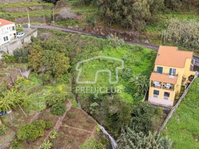 Terrenos Ribeira Brava Ilha da Madeira DLS87570164