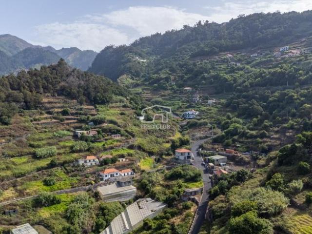 Terrenos Ribeira Brava Ilha da Madeira DLS93648069