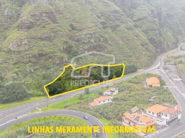 Terrenos Ribeira Brava Ilha da Madeira DLS98439328