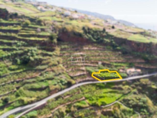 Terrenos Ribeira Brava Ilha da Madeira DLS100203105