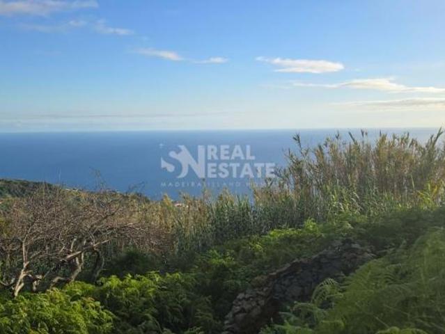 Terrenos Ribeira Brava Ilha da Madeira DLS101220330