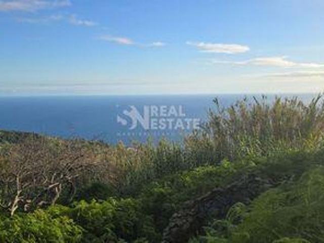 Terrenos Ribeira Brava Ilha da Madeira DS101277451