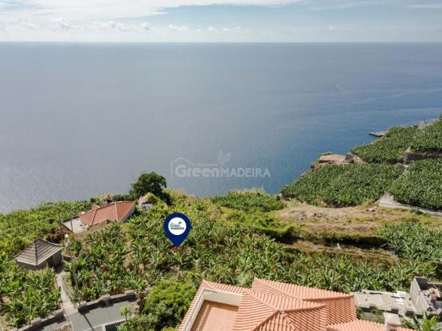 Terrenos Ribeira Brava Ilha da Madeira DS101642043