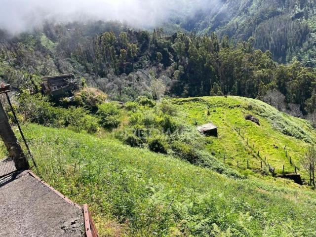 Terrenos Ribeira Brava Ilha da Madeira DS102882337