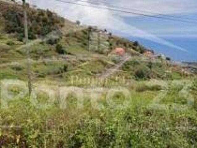 Terrenos Ribeira Brava Ilha da Madeira DS74084334