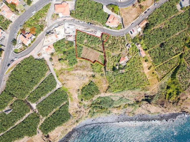 Terrenos Ribeira Brava Ilha da Madeira DS97811885