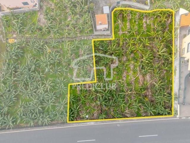 Terrenos Ribeira Brava Ilha da Madeira DS98403817